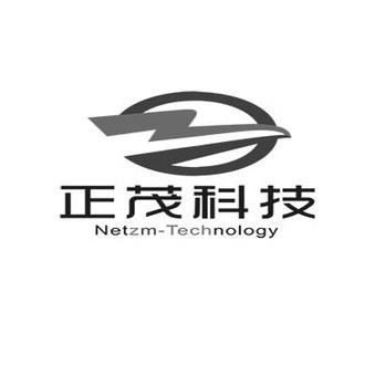 商标查询-正茂科技 netzm-technology z商标注册详情,商标申请人:山东